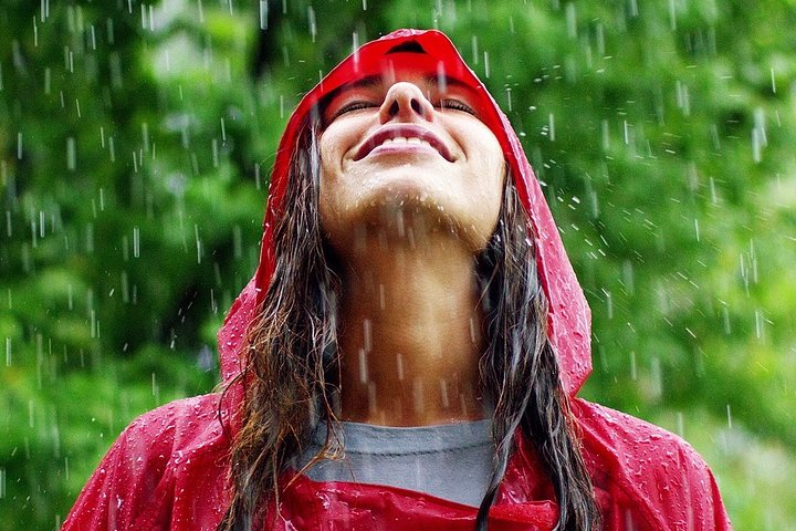 Costa Rica Rain Forest Tours